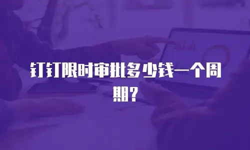 钉钉限时审批多少钱一个周期？