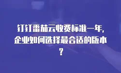 钉钉番茄云收费标准一年，企业如何选择最合适的版本？