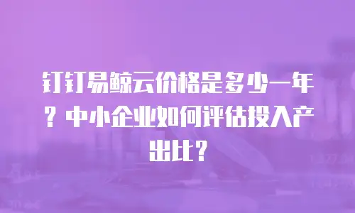钉钉易鲸云价格是多少一年？中小企业如何评估投入产出比？