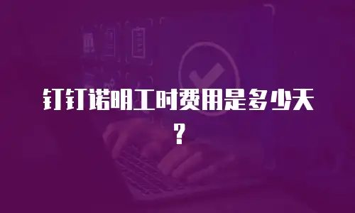 钉钉诺明工时费用是多少天？