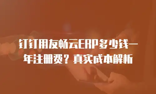 钉钉用友畅云ERP多少钱一年注册费？真实成本解析