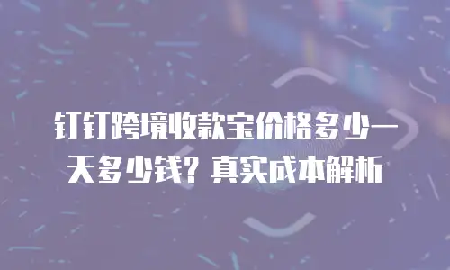钉钉跨境收款宝价格多少一天多少钱？真实成本解析