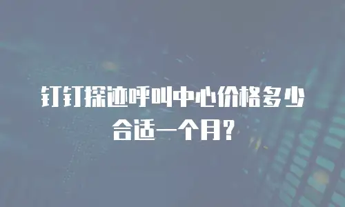 钉钉探迹呼叫中心价格多少合适一个月？
