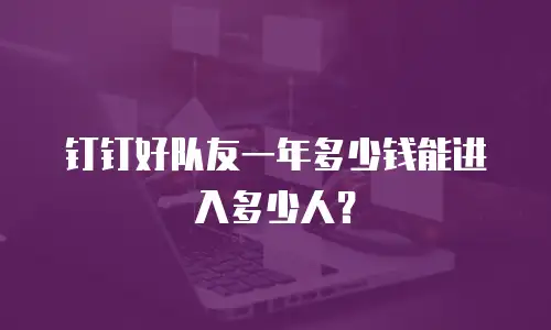 钉钉好队友一年多少钱能进入多少人？