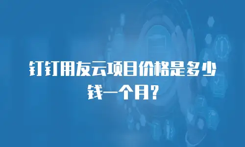 钉钉用友云项目价格是多少钱一个月？
