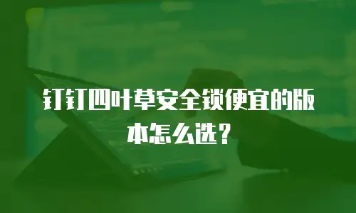 钉钉四叶草安全锁便宜的版本怎么选？