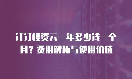 钉钉楼资云一年多少钱一个月？费用解析与使用价值