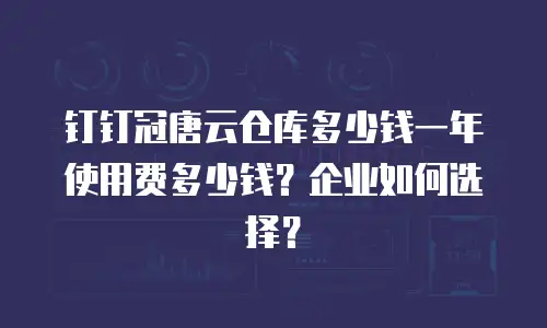 钉钉冠唐云仓库多少钱一年使用费多少钱？企业如何选择？