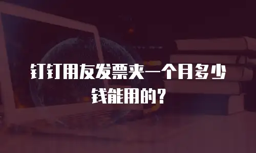 钉钉用友发票夹一个月多少钱能用的？