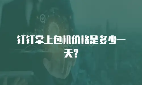 钉钉掌上包机价格是多少一天？