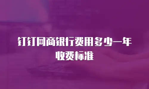 钉钉网商银行费用多少一年收费标准