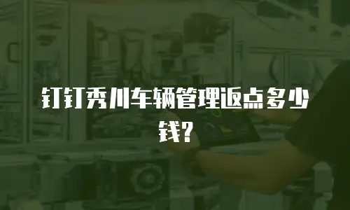 钉钉秀川车辆管理返点多少钱？