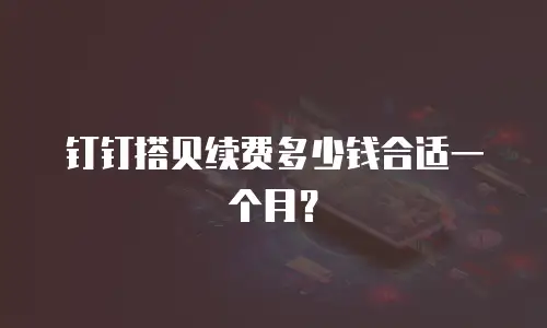 钉钉搭贝续费多少钱合适一个月？