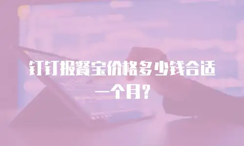 钉钉报餐宝价格多少钱合适一个月？