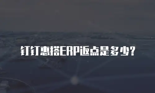 钉钉惠搭ERP返点是多少？