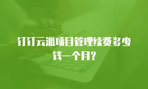 钉钉云派项目管理续费多少钱一个月？