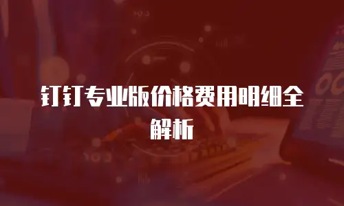 钉钉专业版价格费用明细全解析