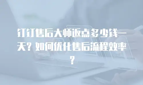 钉钉售后大师返点多少钱一天？如何优化售后流程效率？