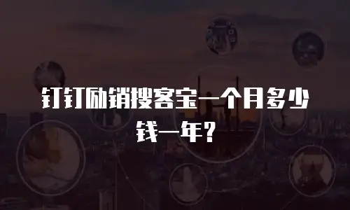 钉钉励销搜客宝一个月多少钱一年？