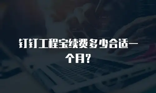 钉钉工程宝续费多少合适一个月？