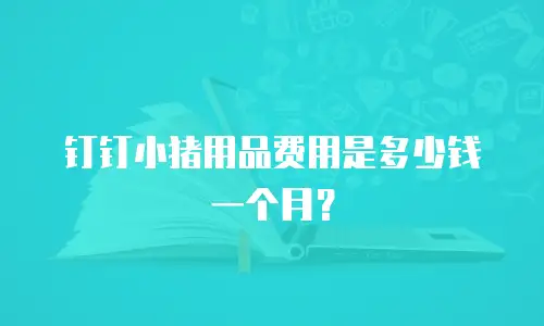 钉钉小猪用品费用是多少钱一个月？