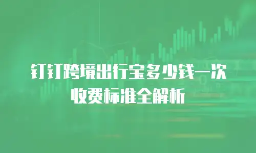 钉钉跨境出行宝多少钱一次收费标准全解析