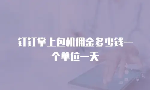 钉钉掌上包机佣金多少钱一个单位一天