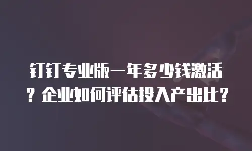钉钉专业版一年多少钱激活？企业如何评估投入产出比？