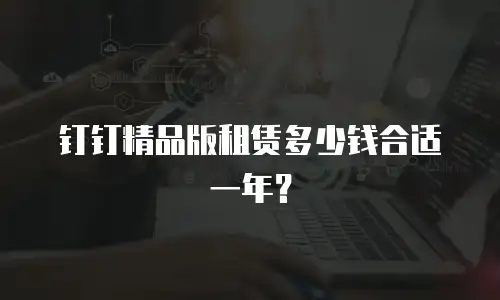钉钉精品版租赁多少钱合适一年？