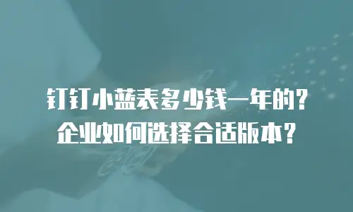 钉钉小蓝表多少钱一年的？企业如何选择合适版本？