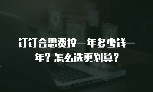 钉钉合思费控一年多少钱一年？怎么选更划算？