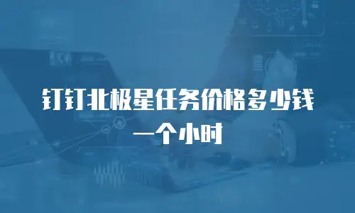 钉钉北极星任务价格多少钱一个小时