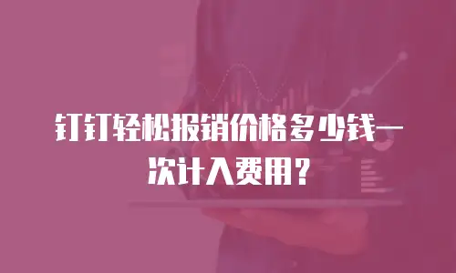 钉钉轻松报销价格多少钱一次计入费用？