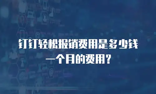 钉钉轻松报销费用是多少钱一个月的费用？