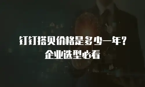 钉钉搭贝价格是多少一年？企业选型必看