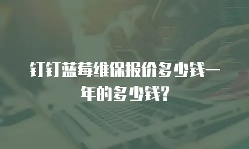 钉钉蓝莓维保报价多少钱一年的多少钱？