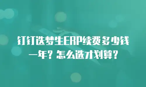 钉钉迭梦生ERP续费多少钱一年？怎么选才划算？