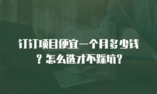 钉钉项目便宜一个月多少钱？怎么选才不踩坑？