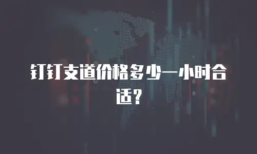 钉钉支道价格多少一小时合适？