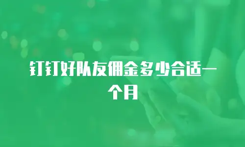 钉钉好队友佣金多少合适一个月