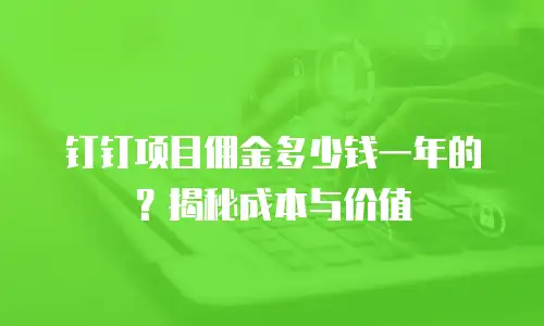钉钉项目佣金多少钱一年的？揭秘成本与价值