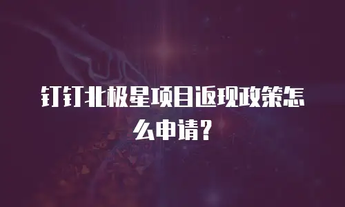 钉钉北极星项目返现政策怎么申请？