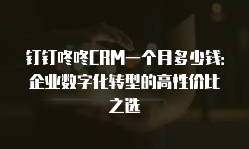 钉钉咚咚CRM一个月多少钱：企业数字化转型的高性价比之选