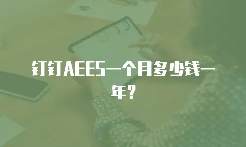 钉钉AEES一个月多少钱一年？