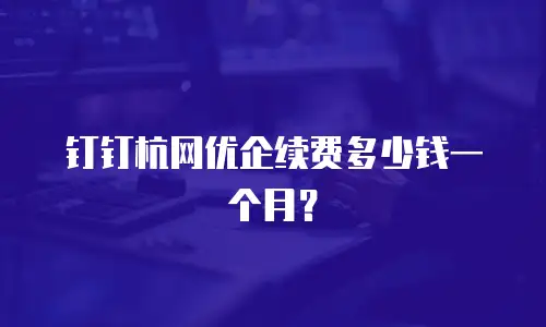 钉钉杭网优企续费多少钱一个月？