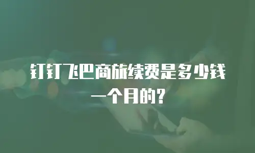 钉钉飞巴商旅续费是多少钱一个月的？
