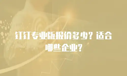 钉钉专业版报价多少？适合哪些企业？