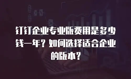 钉钉企业专业版费用是多少钱一年？如何选择适合企业的版本？