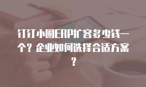 钉钉小圈ERP扩容多少钱一个？企业如何选择合适方案？