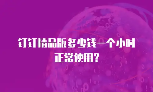 钉钉精品版多少钱一个小时正常使用？